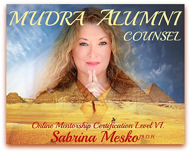 ©sabrinamesko.com_MUDRA_ALUMNI_Counsel.j