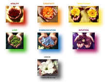 ©SabrinaMesko.com_Mudras_and_Aromatherapy_Course.jpeg