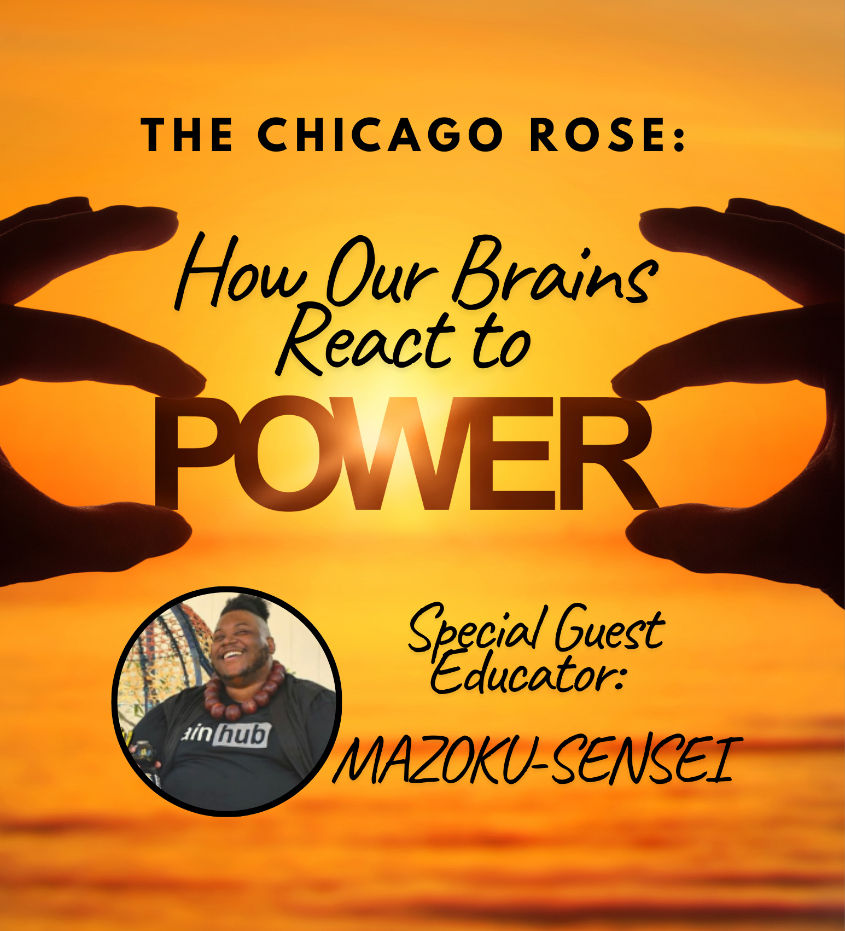 How Our Brains React to Power 