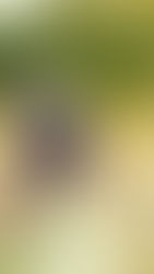 un enfant qui prend une photo