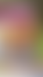 Carnet de voyage : croquis, collages et souvenirs sur le vif