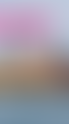 Ellis Island a new york