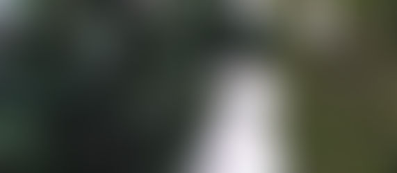 La cuarentena del 2020 - 13