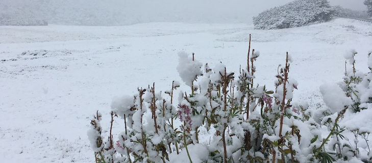 La cuarentena del 2020 - 30