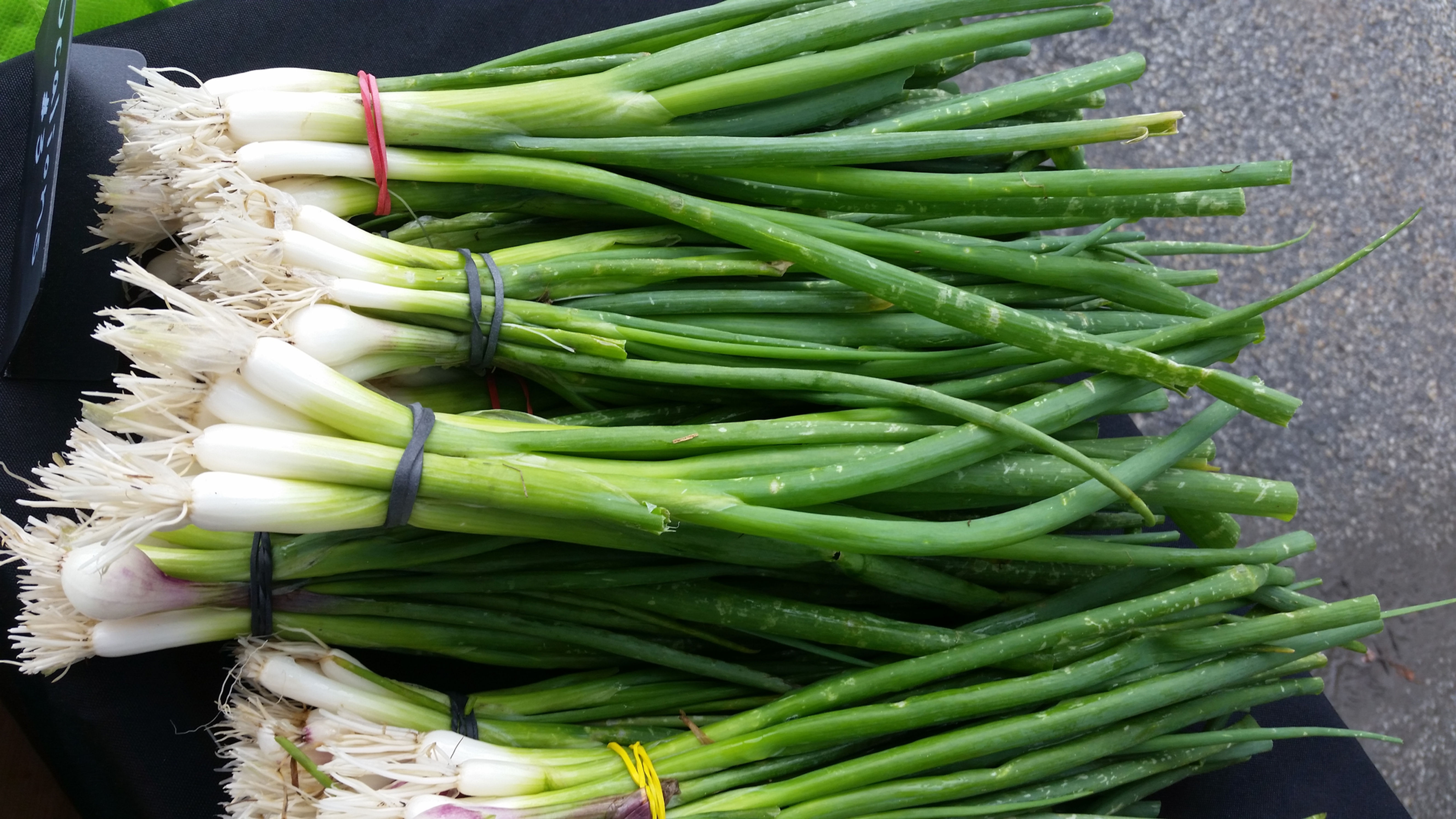 Scallions