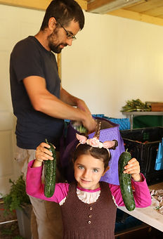 IMG_5336.JPG