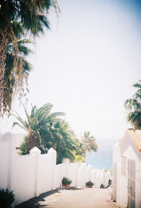 niklas-schoenberger-vmyJRvY7-3A-unsplash.jpg