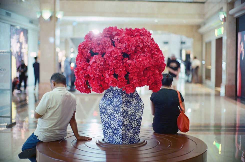 Thumbnail: Leica M Noctilux 50mm f1