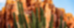 AdobeStock_133682405_edited.jpg