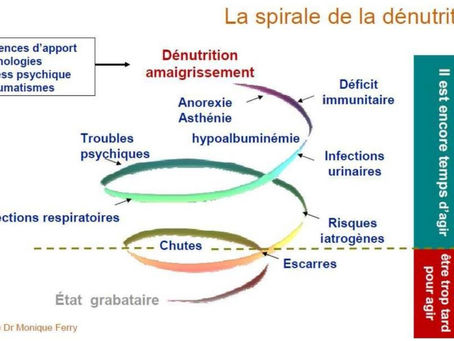 🍒 Et si nous parlions de nos aînés et du risque de DÉNUTRITION ?