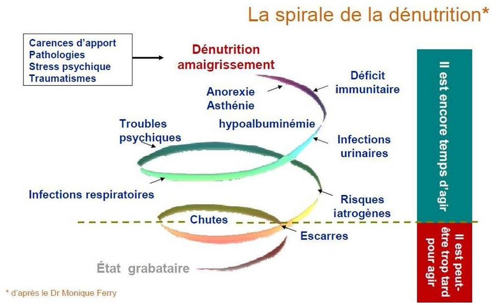 spirale de la dénutrition par docteur Ferry