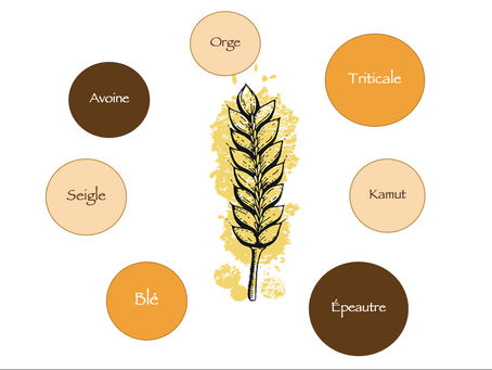 🥖 Allergie ou intolérance au GLUTEN ?
