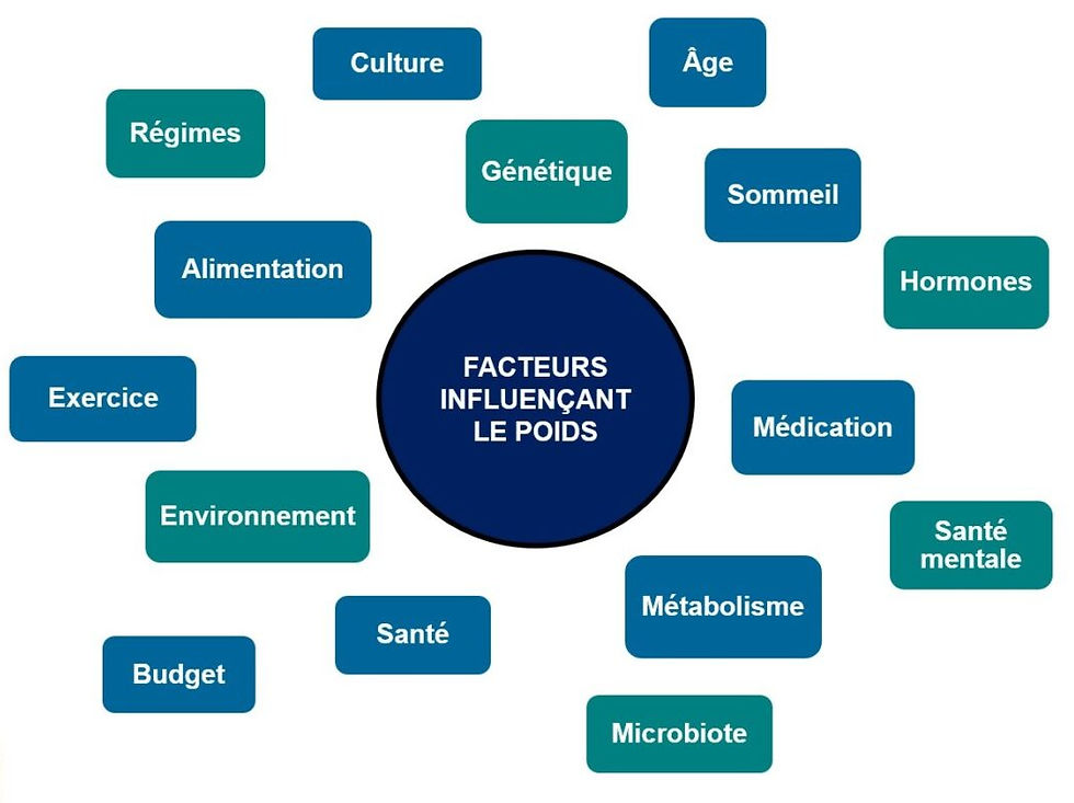 Liste de facteurs influençant le poids
