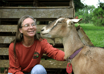 Louisa and her goats