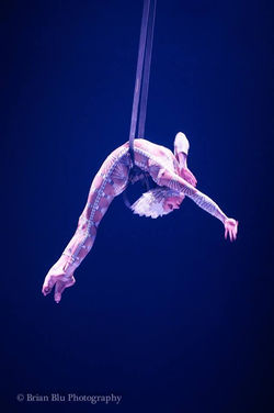 Guilia Poilanti Cirque Du Soleil