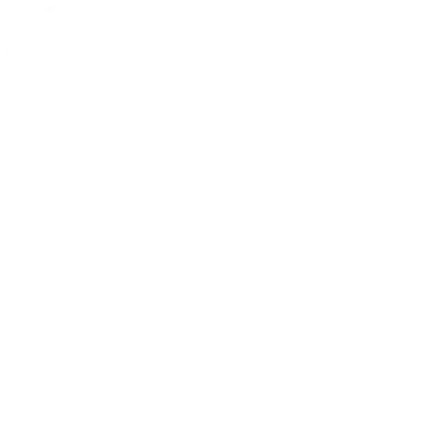Drone.webp