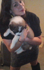 Mix n Buddy