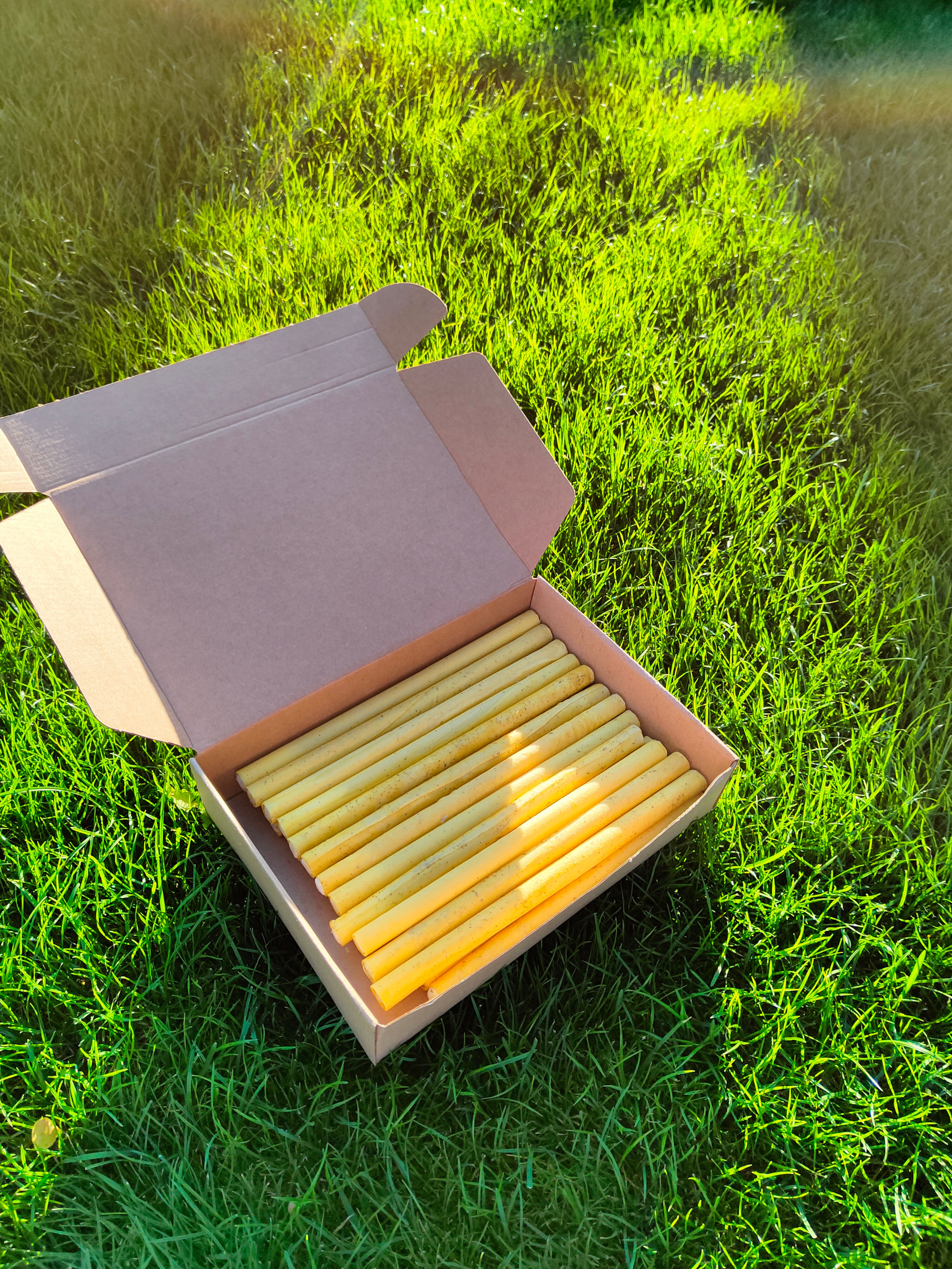 Telové sviečky čistiace 25 cm – Šalvia biela (30 ks, detail)