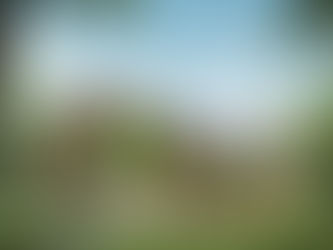 ARQUITETURA BIOCLIMÁTICA: Você precisa conhecer!