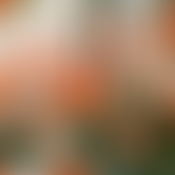 Psychologie de la finance et émotions