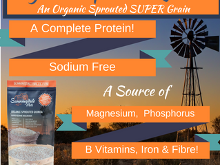 Cooking with Organic Sprouted Quinoa – a Super Grain that is a great choice for vegans and all healt