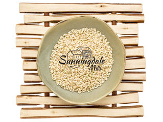 Sprouted Brown Rice, A Nutritional Powerhouse