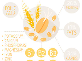 Improve Nutritional Results with Dry Sprouted Grains