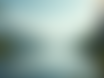 The Power of Mindfulness in Everyday Life