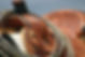 AdobeStock_967161.jpeg