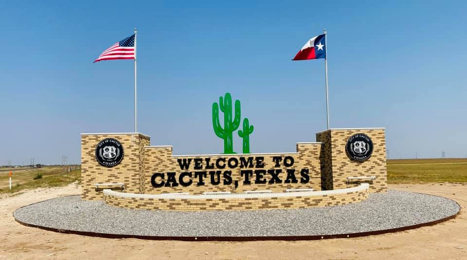 Cactus 2