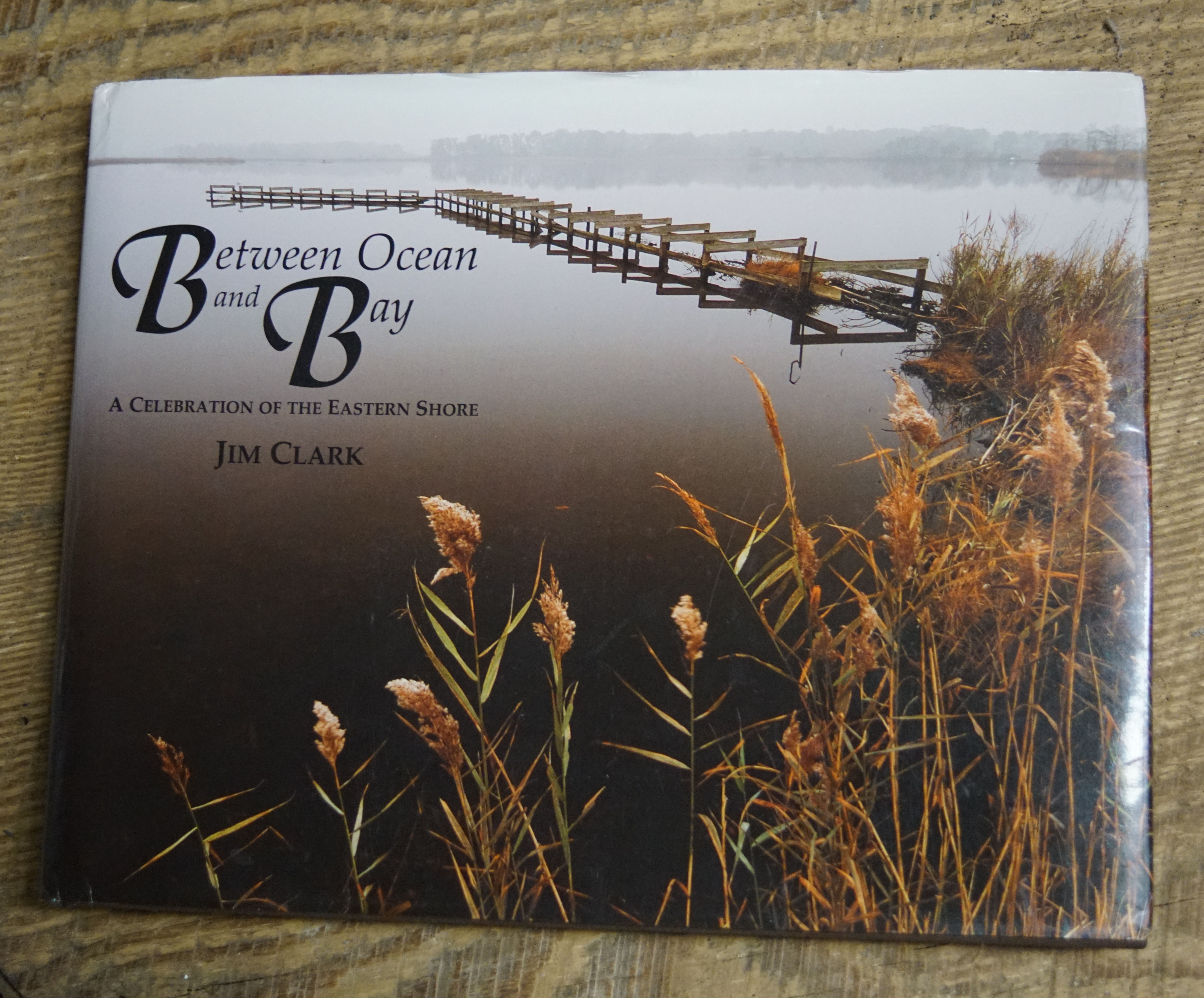 Between Ocean and Bay (Hardcover)