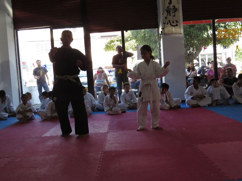SHIHAN JORGE LARGO INDICANDO TECNICA DE TSUKI.JPG
