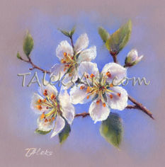 Plum Blossom White Flowers Painting for sale