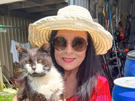 Dead or alive: New online game teaches Kiwi cat owners to do the right thing