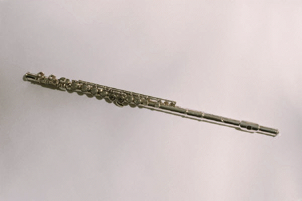 flute 2.gif