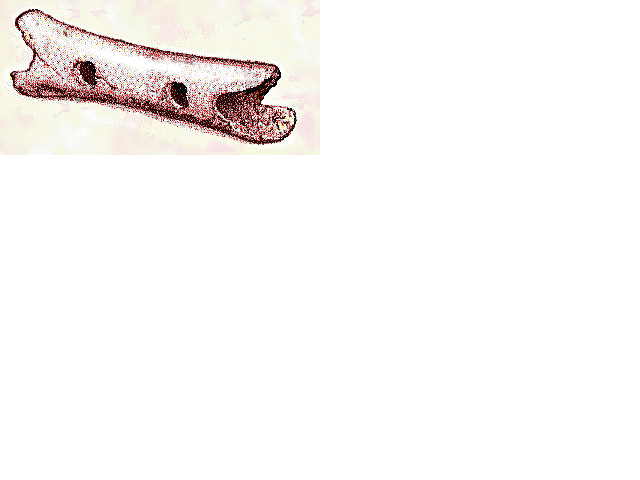neanderthal flute.gif