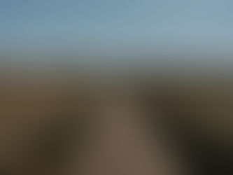 Warum Massivholz Tische Wärme und Charakter in dein Zuhause bringen