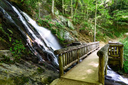 Juney Whank Falls