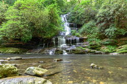 Tom Branch Falls