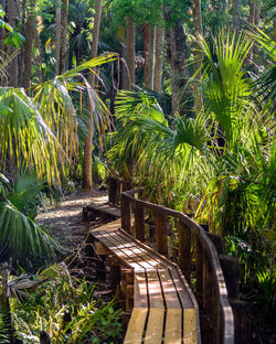 Highlands Hammock End of the Boardwalk