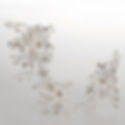22623-ok-3-500x500