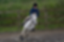 IMG_7748_edited