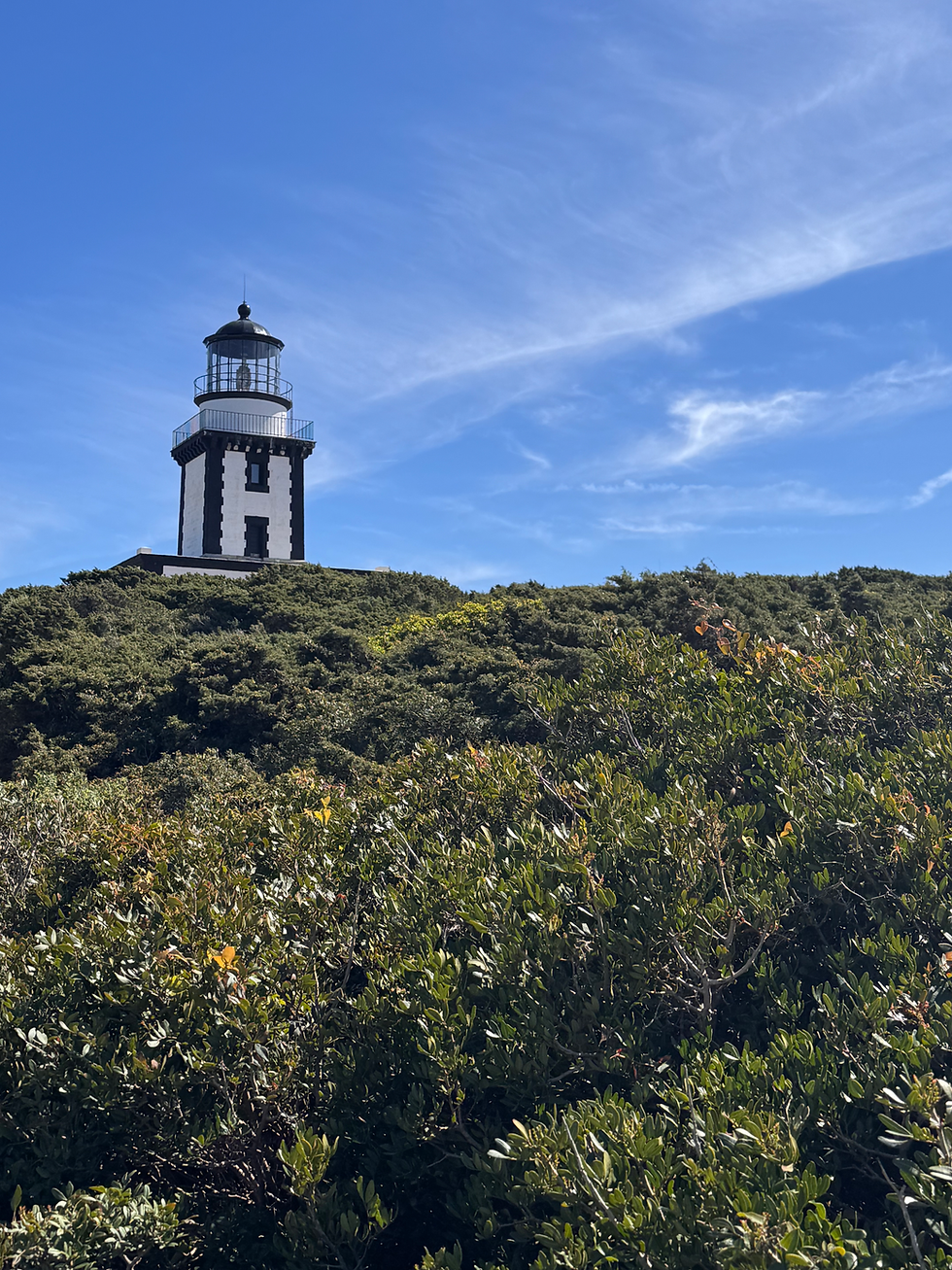 Pertusato Lighthouse