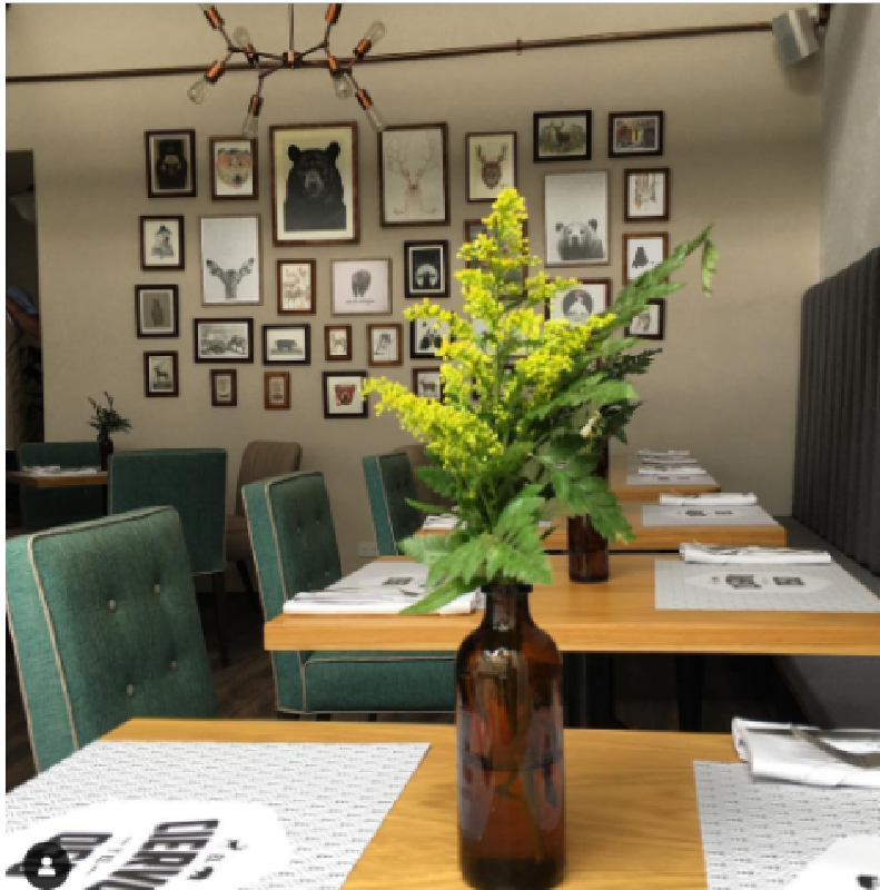 Proyecto ciervo y el oso 6