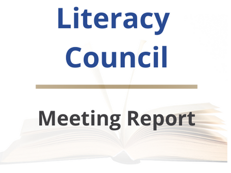 Georgia Council on Birth-5 Working Group - August 2024