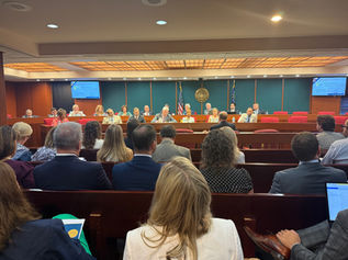 Special Legislative Session: House and Senate Education Committees Review Literacy Implementation