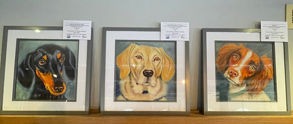 Thumbnail: Dashing Dachshund Derek, limited edition, framed print