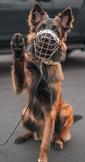 Screenshot 2025-06-12 at 2.25.27 PM.png