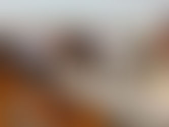 अवैध ईंट भट्टों पर चला प्रशासन का बुलडोजर