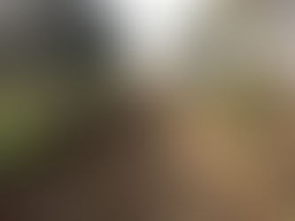 सेवानिवृत्त प्रोन्नति निरीक्षक को सुरियावां थाने में दी गई विदाई